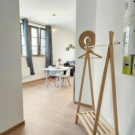 Grand Studio Renove Cosy 2pers Wifi 公寓 圣康坦