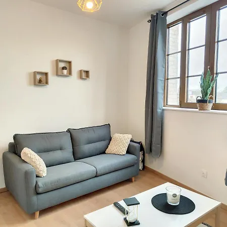 Grand Studio Renove Cosy 2pers Wifi 公寓