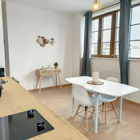 Grand Studio Renove Cosy 2pers Wifi 公寓 *